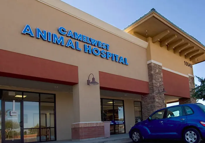 Camelwest Animal Hospital Picture 10