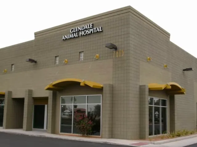 Glendale Animal Hospital Picture 2