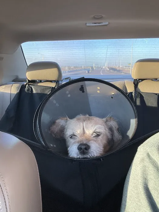 Glendale Animal Hospital Picture 9