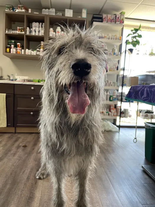 Western Animal Hospital Picture 4