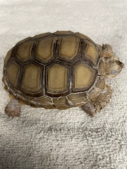 Western Animal Hospital Picture 2