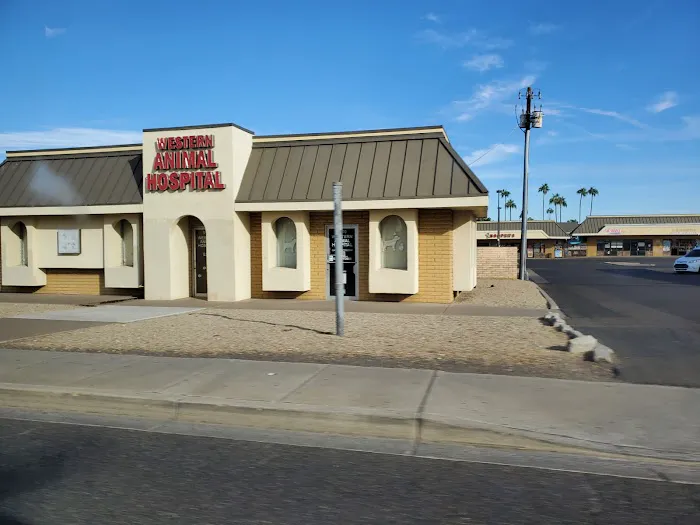Western Animal Hospital Picture 3