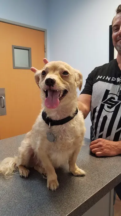 Palm Valley Animal Clinic Picture 4