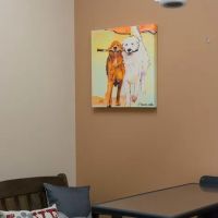 Gentle Hearts Animal Hospital ico