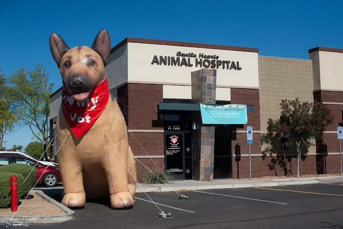 Gentle Hearts Animal Hospital Picture 2