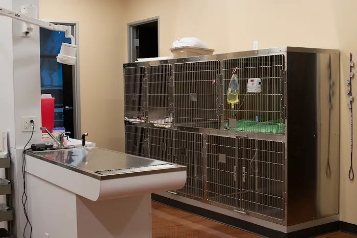 Gentle Hearts Animal Hospital Picture 6