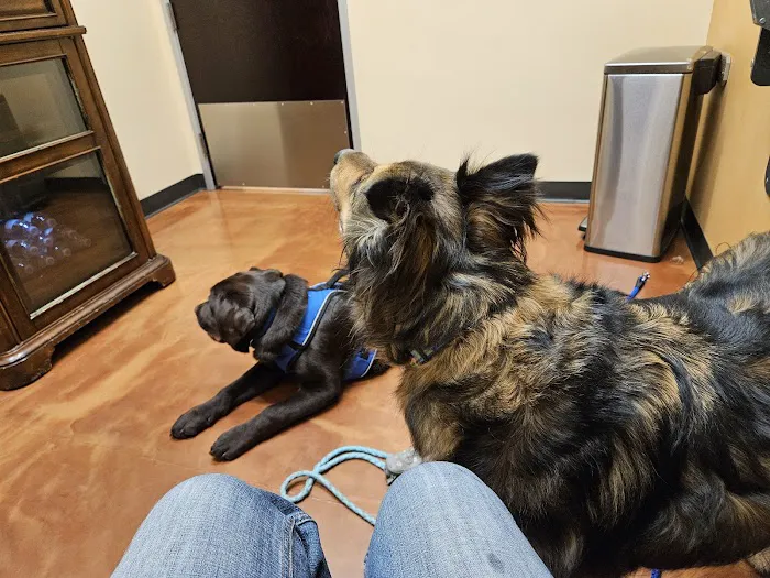 Gentle Hearts Animal Hospital Picture 5