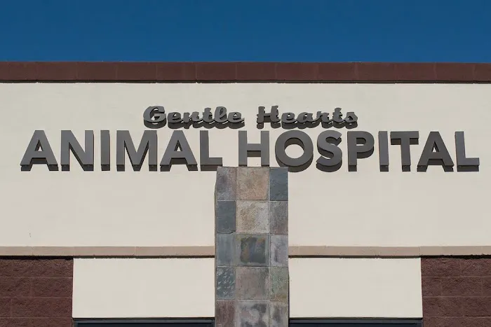 Gentle Hearts Animal Hospital Picture 7