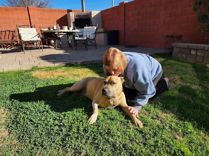 KC In-Home Pet Euthanasia Picture 8