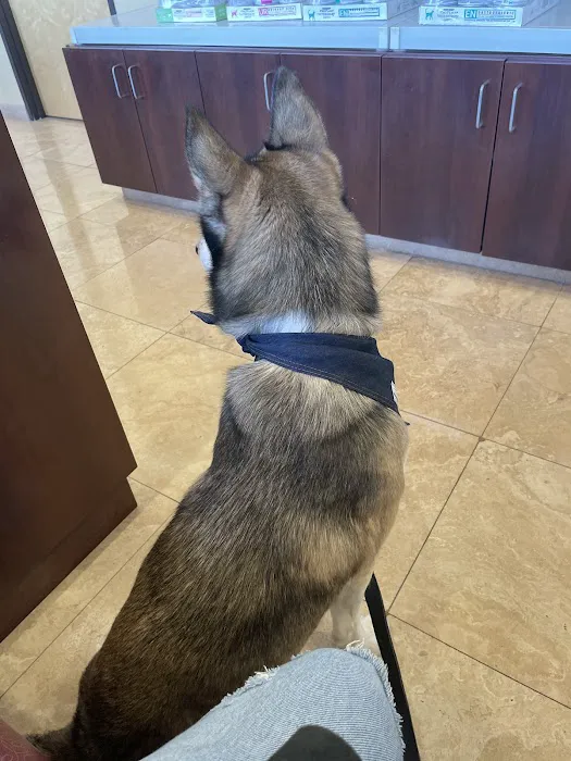 Dreaming Summit Animal Hospital Picture 6