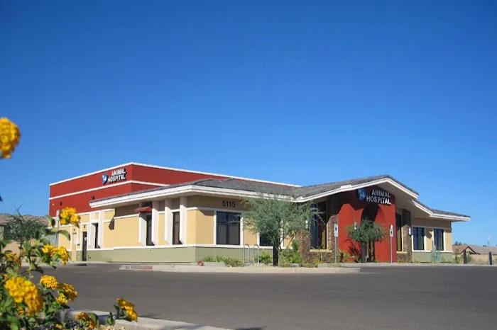 Dreaming Summit Animal Hospital Picture 1