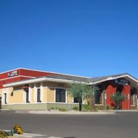 Dreaming Summit Animal Hospital ico