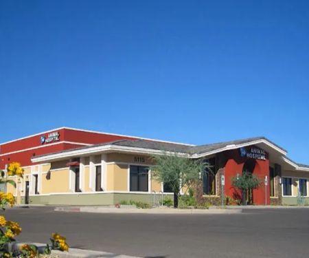 Dreaming Summit Animal Hospital
