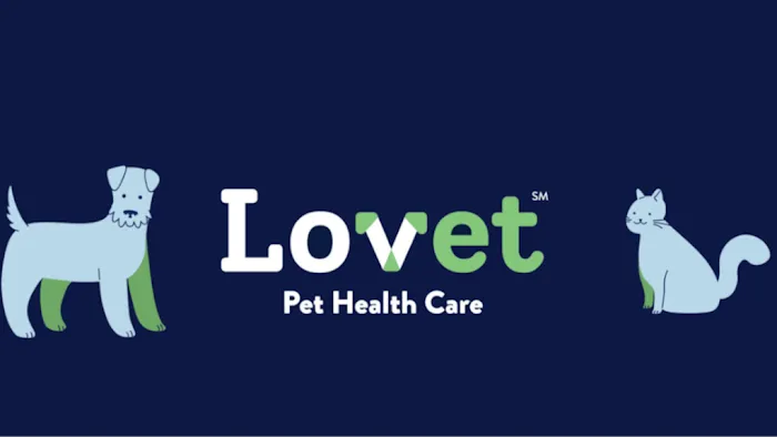 Lovet Pet Health Care - Queen Creek Picture 5