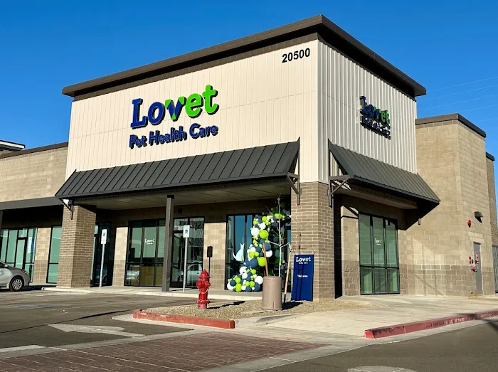 Lovet Pet Health Care - Queen Creek Picture 8