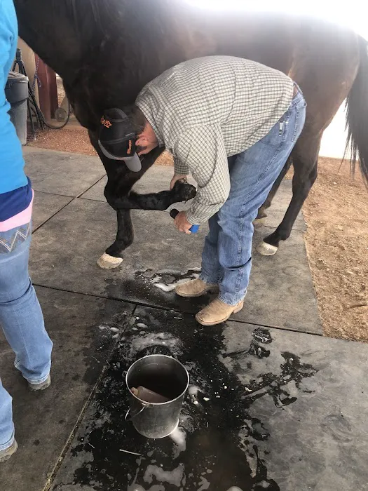 Desert Mountain Equine Picture 8