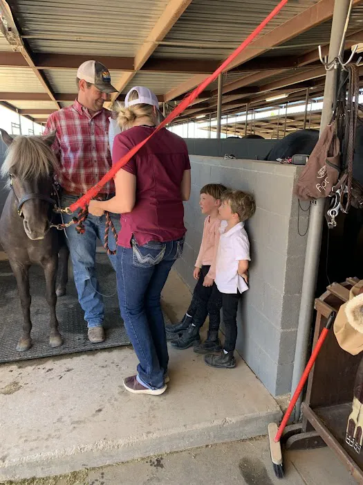 Desert Mountain Equine Picture 2