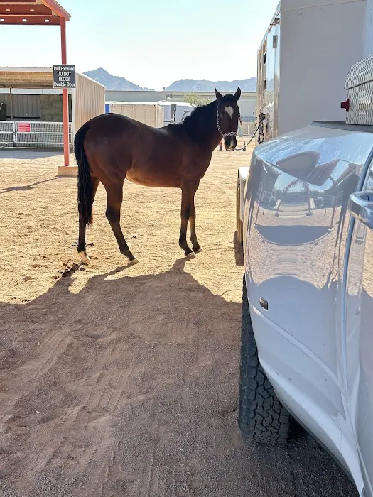 Desert Mountain Equine Picture 10