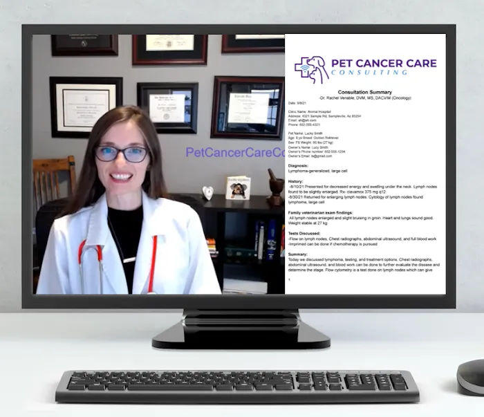 Pet Cancer Care Consulting Picture 6