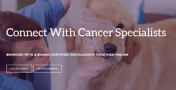 Pet Cancer Care Consulting Picture 5