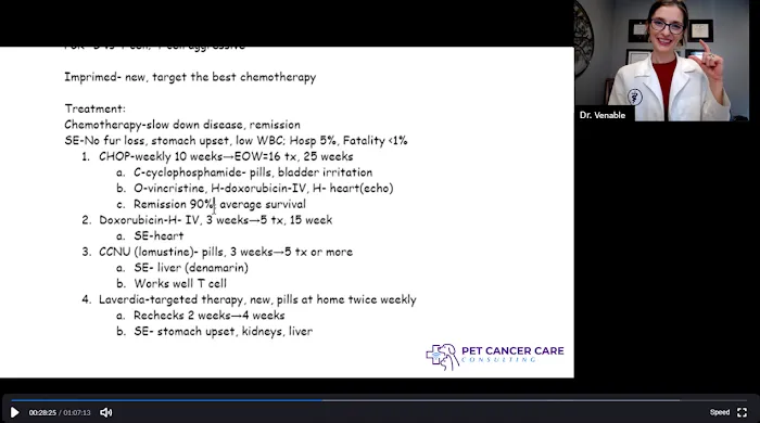 Pet Cancer Care Consulting Picture 4