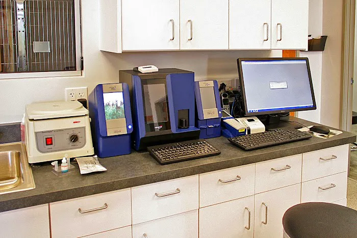 Scottsdale Animal Healthcare Picture 9