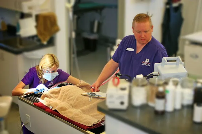 Scottsdale Animal Healthcare Picture 7