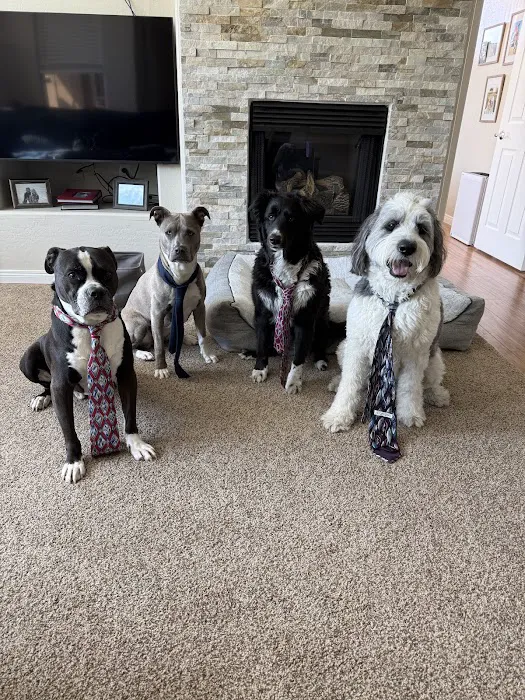 Scottsdale Animal Healthcare Picture 1