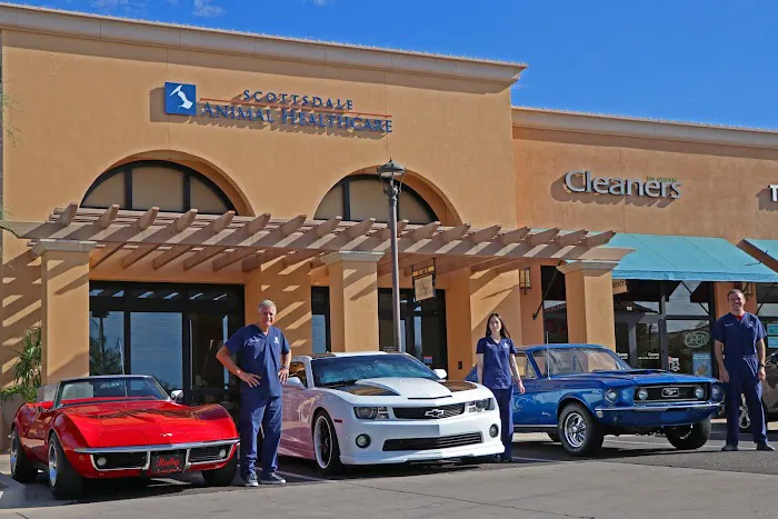 Scottsdale Animal Healthcare Picture 6