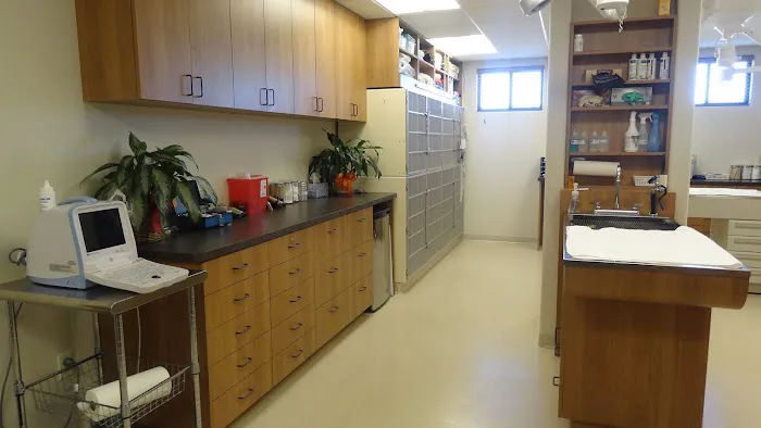 El Dorado Animal Hospital Picture 9