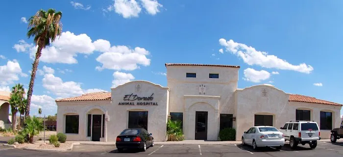 El Dorado Animal Hospital Picture 4