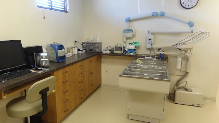 El Dorado Animal Hospital Picture 5