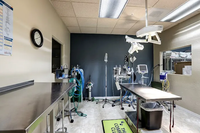 Friendship Pet Hospital Picture 2