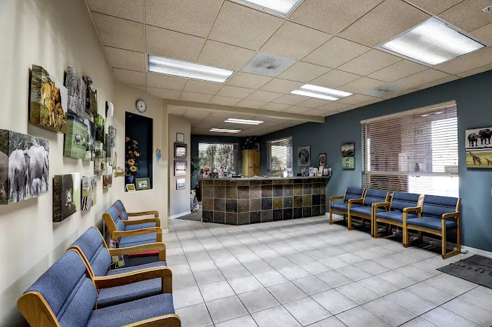 Friendship Pet Hospital Picture 4