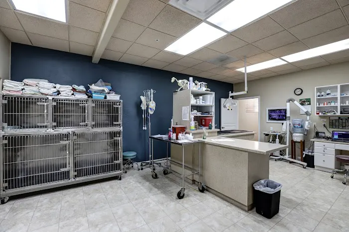 Friendship Pet Hospital Picture 10