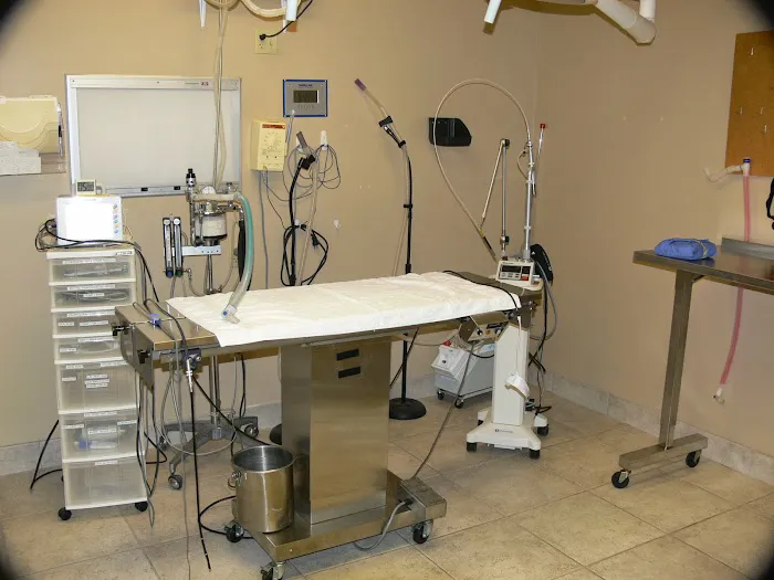 Fountain Hills Veterinary Hospital - NOW MERGED WITH BARK AVENUE ANIMAL HOSPITAL Picture 10