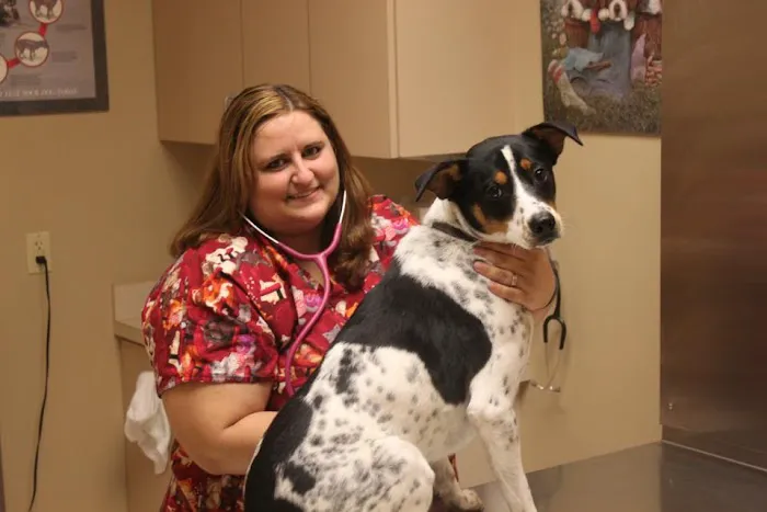 Fountain Hills Veterinary Hospital - NOW MERGED WITH BARK AVENUE ANIMAL HOSPITAL Picture 1