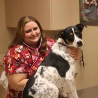 Fountain Hills Veterinary Hospital - NOW MERGED WITH BARK AVENUE ANIMAL HOSPITAL ico