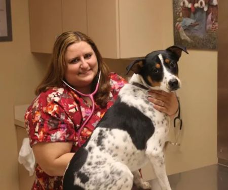Fountain Hills Veterinary Hospital - NOW MERGED WITH BARK AVENUE ANIMAL HOSPITAL
