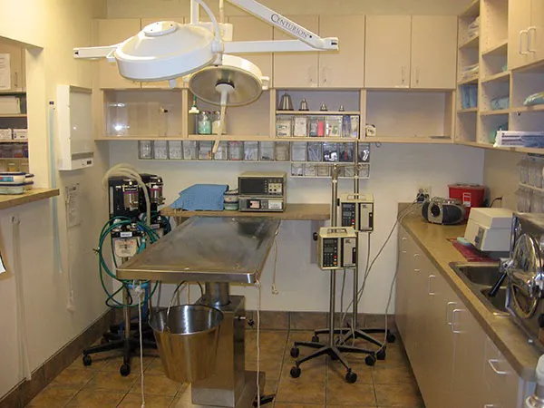 DC Ranch Animal Hospital Picture 10