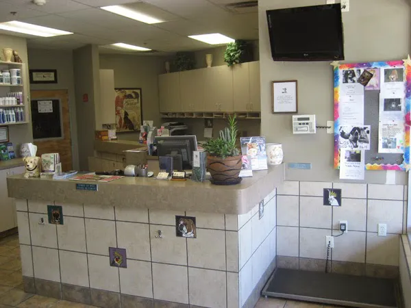 DC Ranch Animal Hospital Picture 1