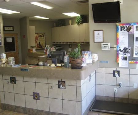 DC Ranch Animal Hospital
