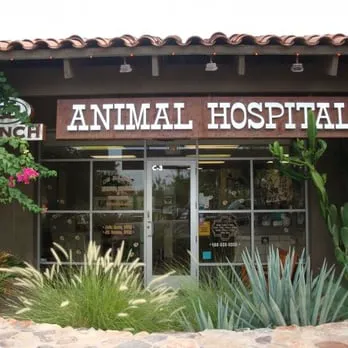 DC Ranch Animal Hospital Picture 4