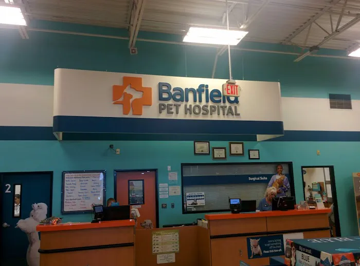 Banfield Pet Hospital Picture 9