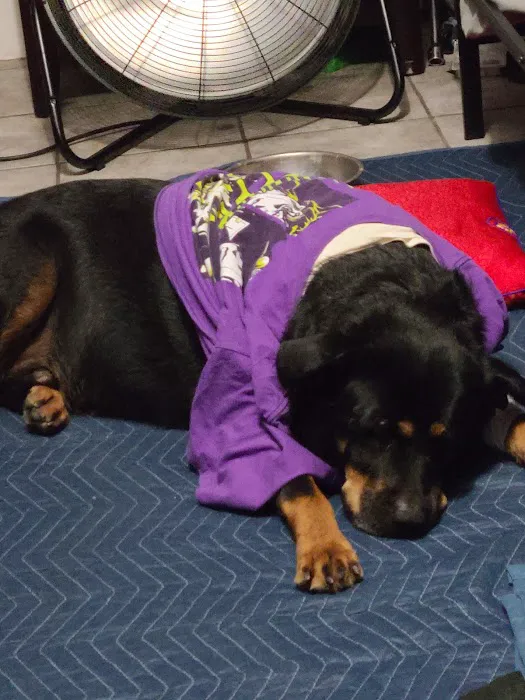 Banfield Pet Hospital Picture 1