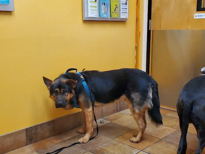 Banfield Pet Hospital Picture 3