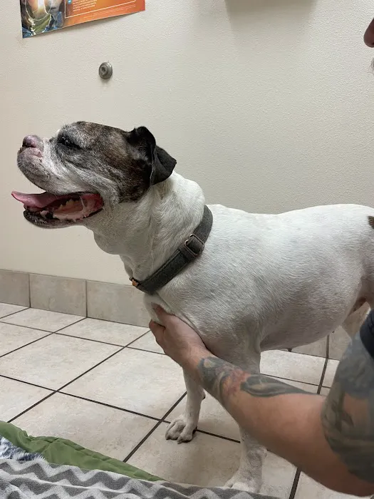 Pet Life Veterinary Clinic Paradise Valley Picture 9