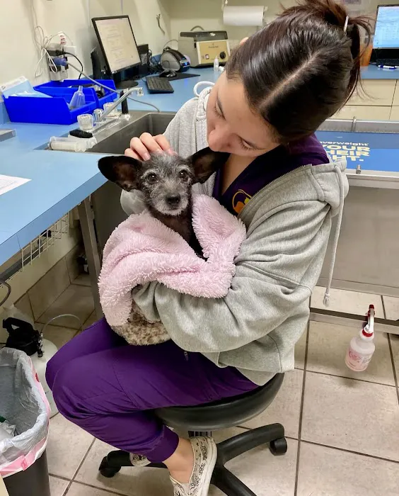 Pet Life Veterinary Clinic Paradise Valley Picture 3