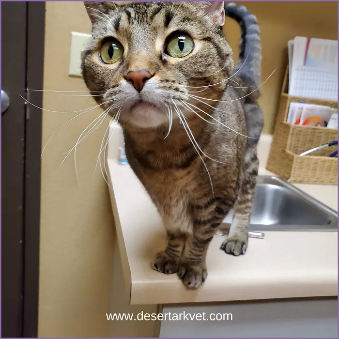 ArkVets Picture 9