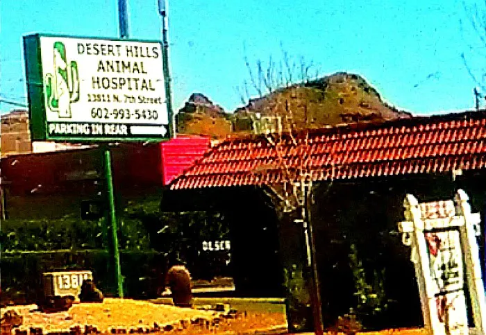 Desert Hills Animal Hospital Picture 3